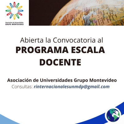 Programa Escala Docente 2025