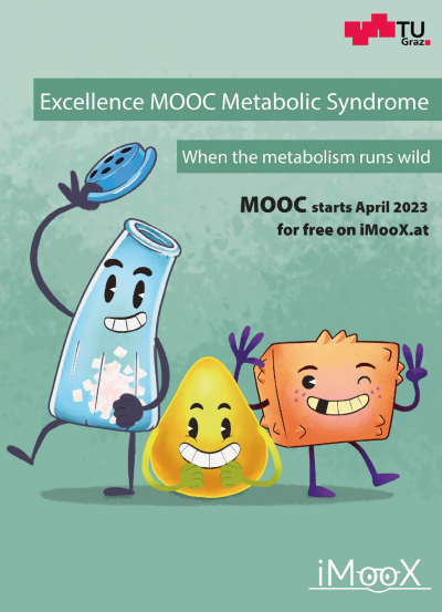 Curso sobre Síndrome Metabólico de la Universidad de Graz